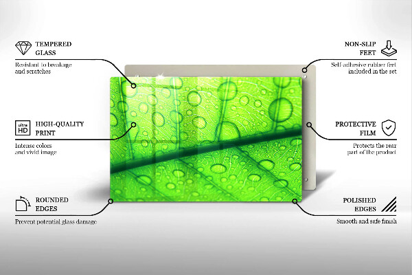 Herdabdeckplatte glas Nahaufnahme eines Blattes