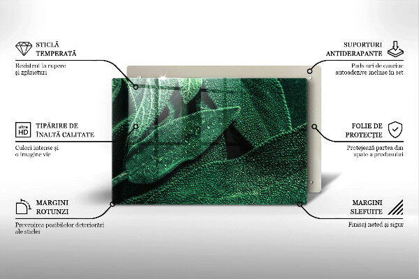 Herdabdeckung Die Blätter der Pflanze