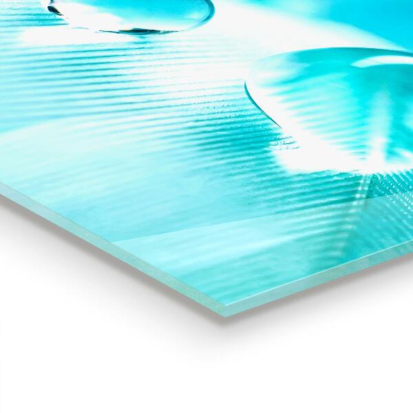 Küchenrückwand Fliesenspiegel Tau auf zarter Feder