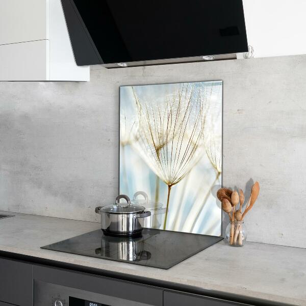 Küchenrückwand Spritzschutz Löwenzahn Löwenzahn im Wind