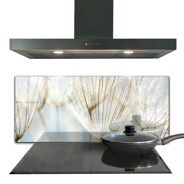 Küchenrückwand Spritzschutz Löwenzahn Löwenzahn im Wind