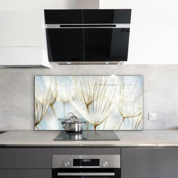 Küchenrückwand Spritzschutz Löwenzahn Löwenzahn im Wind