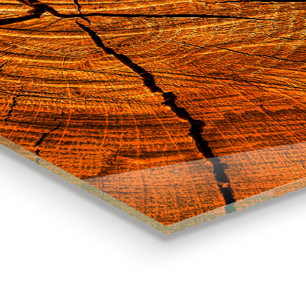 Küchenrückwand Fliesenspiegel Stammstruktur