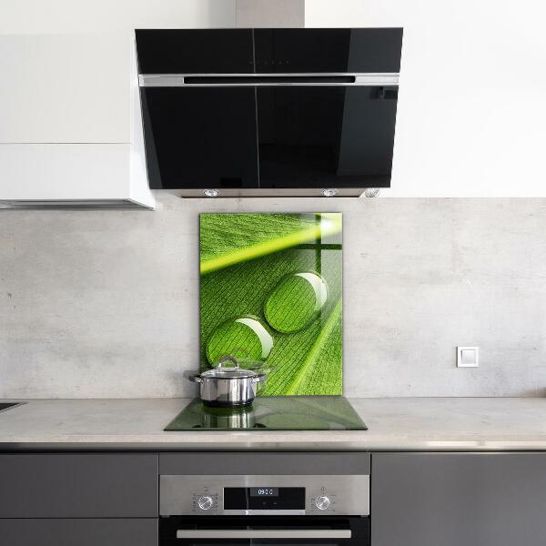 Küchenrückwand Spritzschutz Tautropfen auf einem Blatt