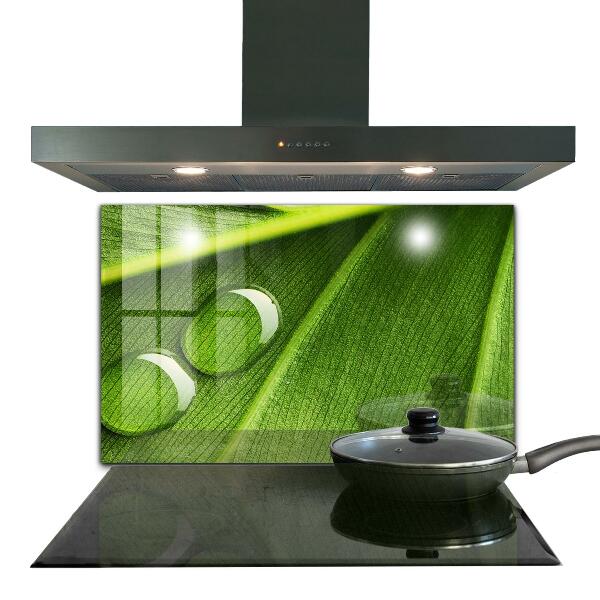 Küchenrückwand Spritzschutz Tautropfen auf einem Blatt