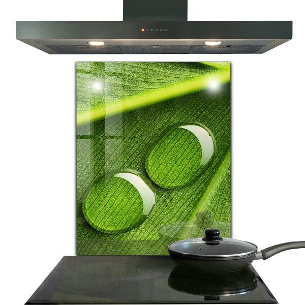 Küchenrückwand Spritzschutz Tautropfen auf einem Blatt