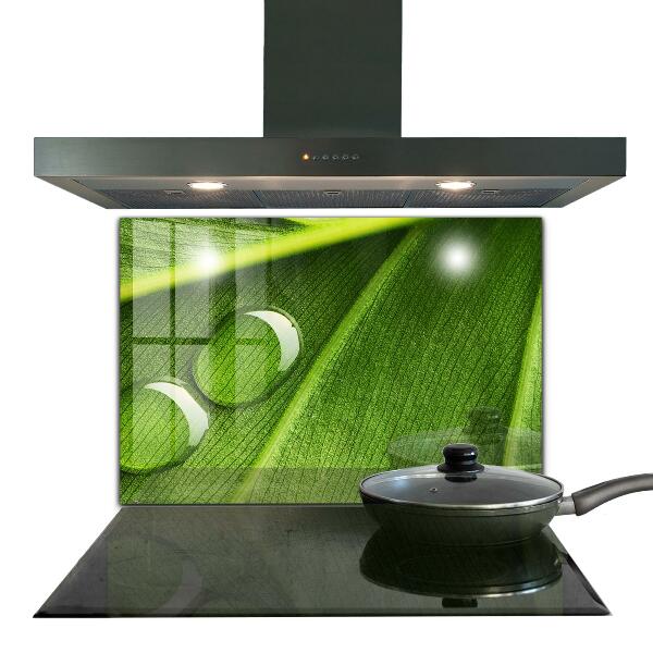 Küchenrückwand Spritzschutz Tautropfen auf einem Blatt