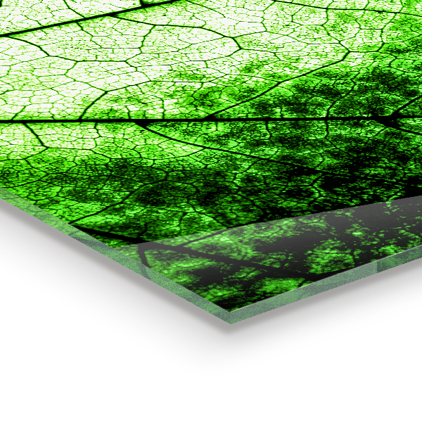 Küchenrückwand Spritzschutz Grüne Blattstruktur