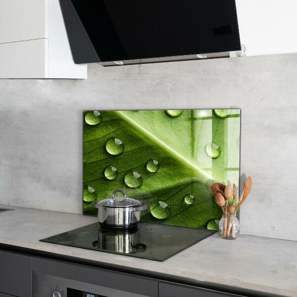 Küchenrückwand Spritzschutz Blatt mit Tropfen Morgentau