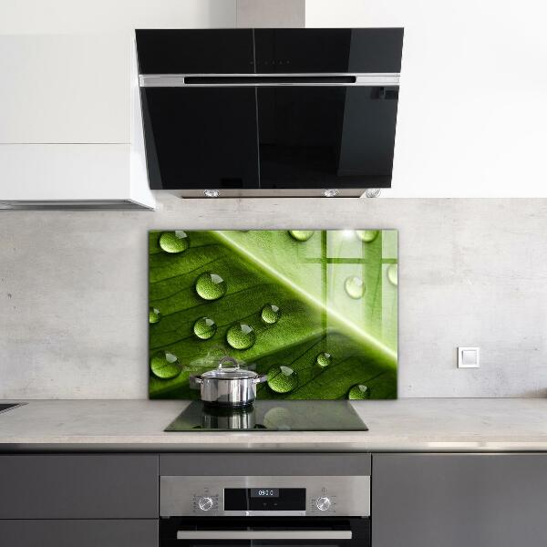 Küchenrückwand Spritzschutz Blatt mit Tropfen Morgentau