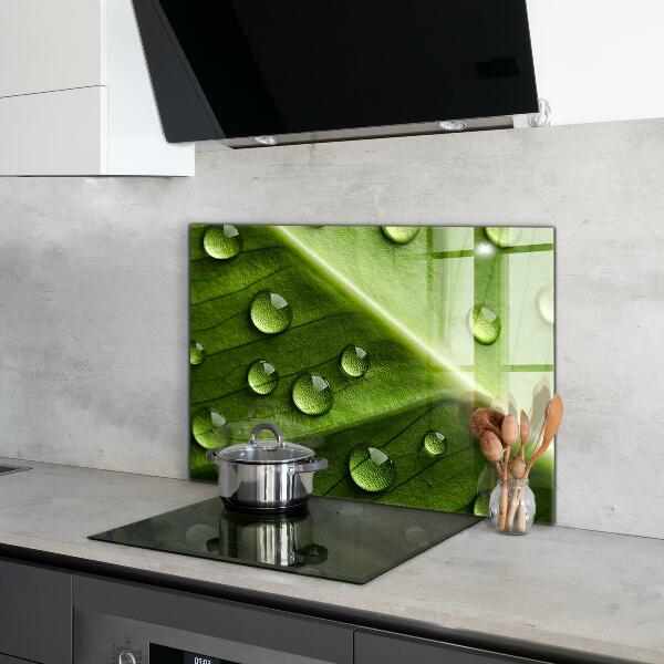 Küchenrückwand Spritzschutz Blatt mit Tropfen Morgentau