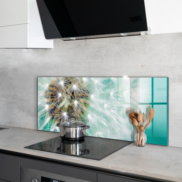 Küchenrückwand Spritzschutz Löwenzahn in der Windpflanze