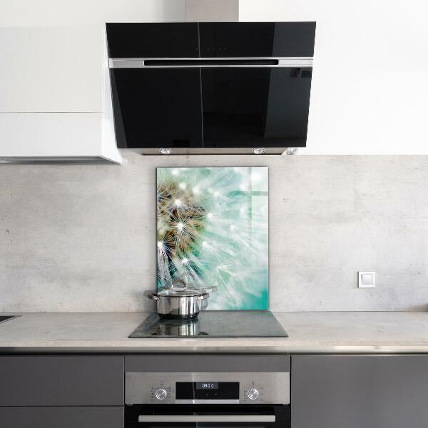 Küchenrückwand Spritzschutz Löwenzahn in der Windpflanze