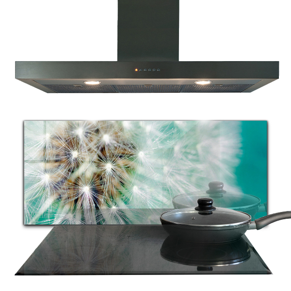 Küchenrückwand Spritzschutz Löwenzahn in der Windpflanze