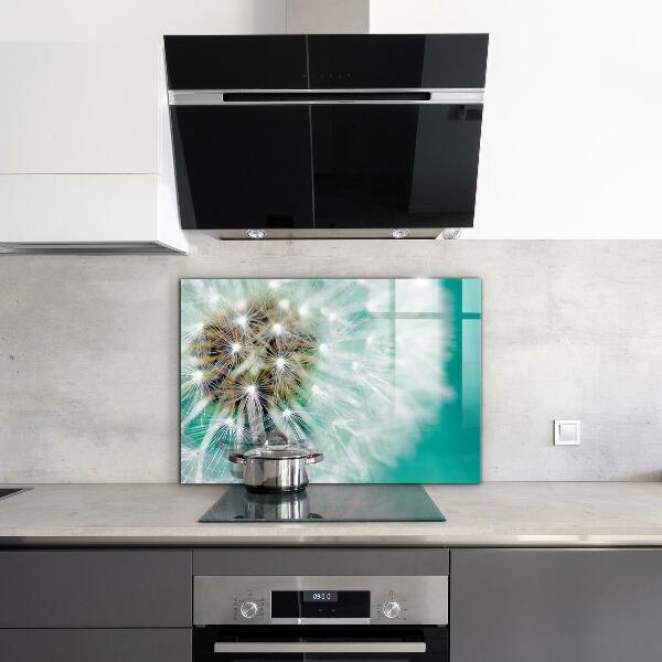 Küchenrückwand Spritzschutz Löwenzahn in der Windpflanze