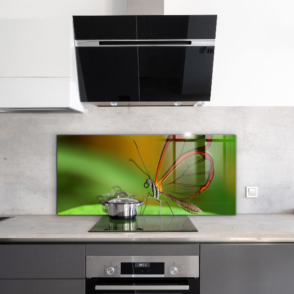 Küchenrückwand Spritzschutz Schmetterling auf einem Blatt