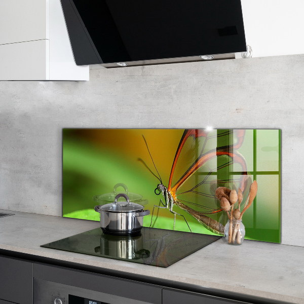 Küchenrückwand Spritzschutz Schmetterling auf einem Blatt