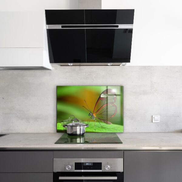 Küchenrückwand Spritzschutz Schmetterling auf einem Blatt