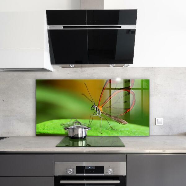 Küchenrückwand Spritzschutz Schmetterling auf einem Blatt