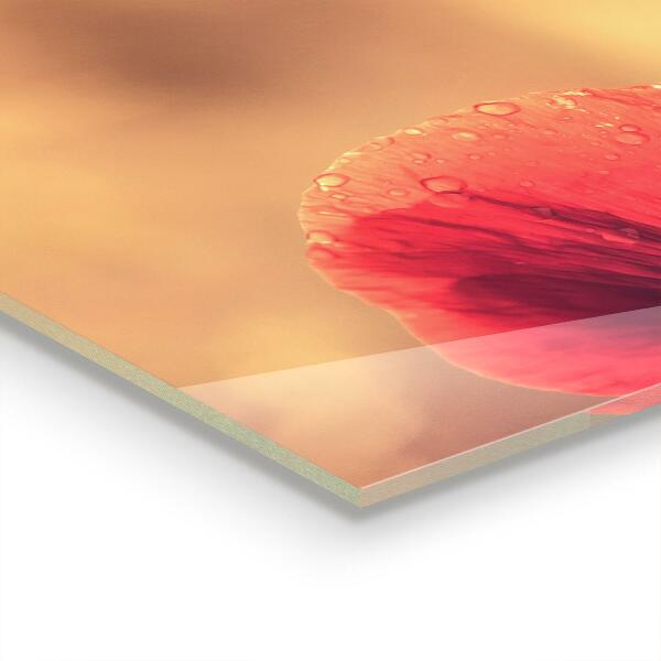 Küchenrückwand Spritzschutz Vintage Mohnpflanze