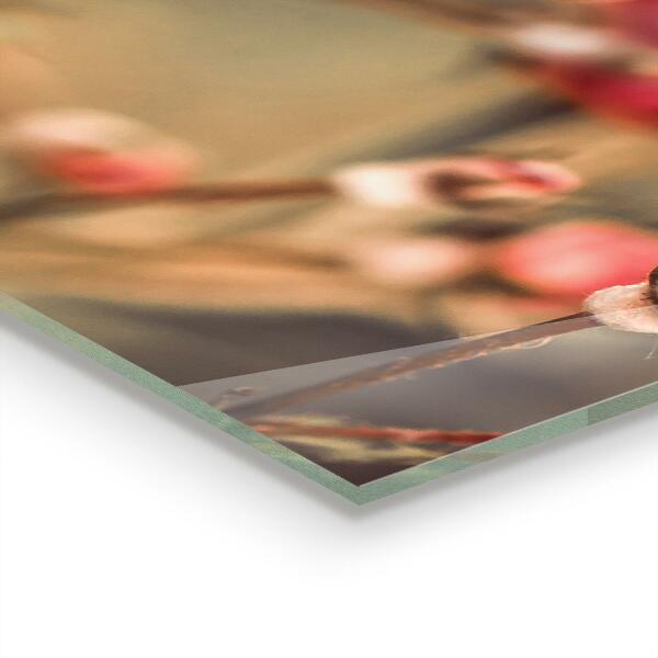 Küchenrückwand Spritzschutz Wildrose im Park