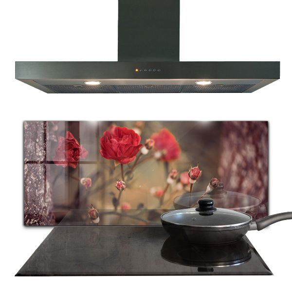 Küchenrückwand Spritzschutz Wildrose im Park