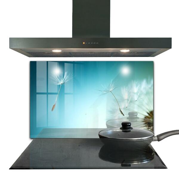 Küchenrückwand Spritzschutz Löwenzahn Löwenzahn im Wind