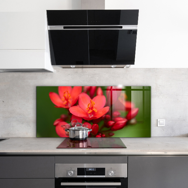 Küchenrückwand Spritzschutz Blühende Blütenknospen