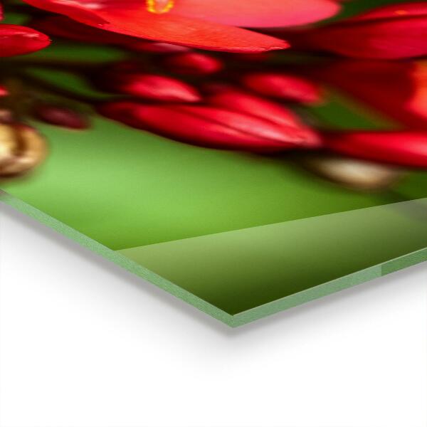 Küchenrückwand Spritzschutz Blühende Blütenknospen