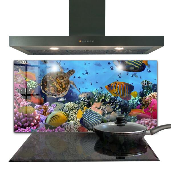 Küchenrückwand Spritzschutz Barrier Reef Karibik