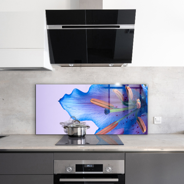 Küchenrückwand Spritzschutz Wunderschöne blaue Lilie