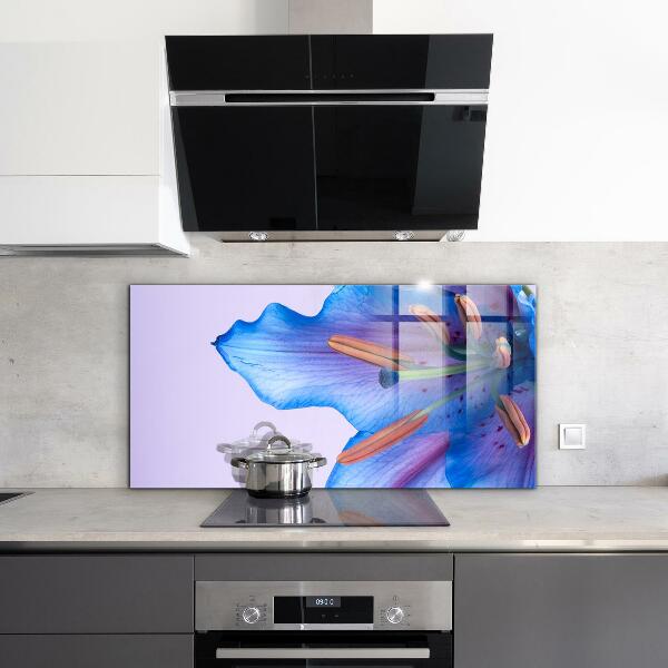 Küchenrückwand Spritzschutz Wunderschöne blaue Lilie