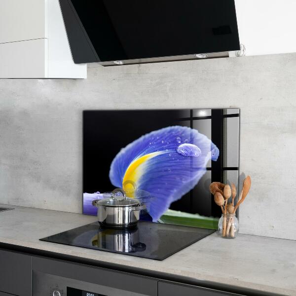 Küchenrückwand Spritzschutz Lila Irisblume