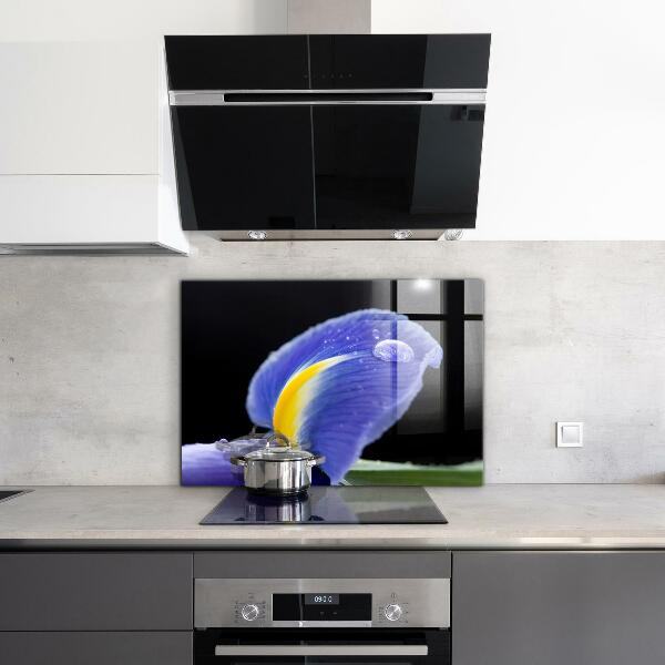 Küchenrückwand Spritzschutz Lila Irisblume