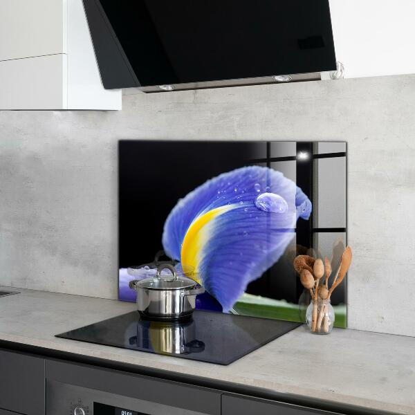 Küchenrückwand Spritzschutz Lila Irisblume