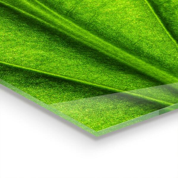 Küchenrückwand Spritzschutz Grüne Blattdetails