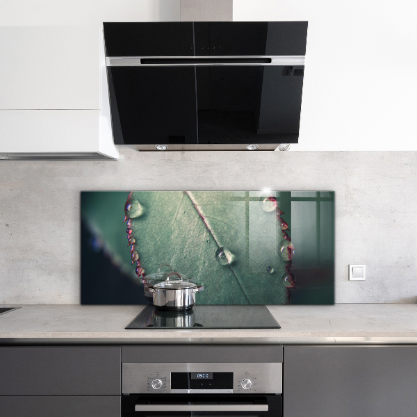 Küchenrückwand Spritzschutz Blatt mit einem Tautropfen