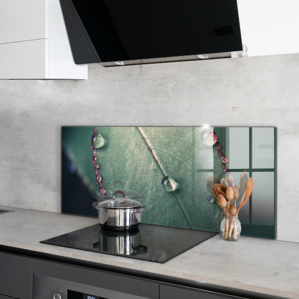 Küchenrückwand Spritzschutz Blatt mit einem Tautropfen