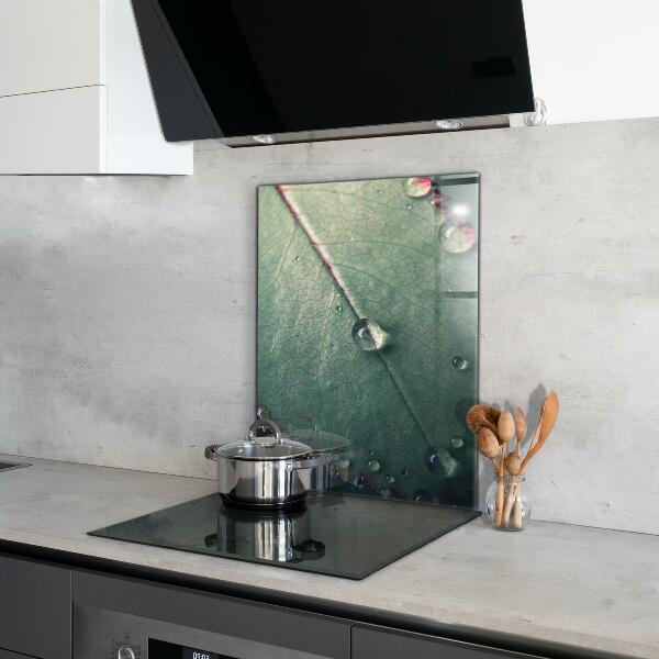 Küchenrückwand Spritzschutz Blatt mit einem Tautropfen