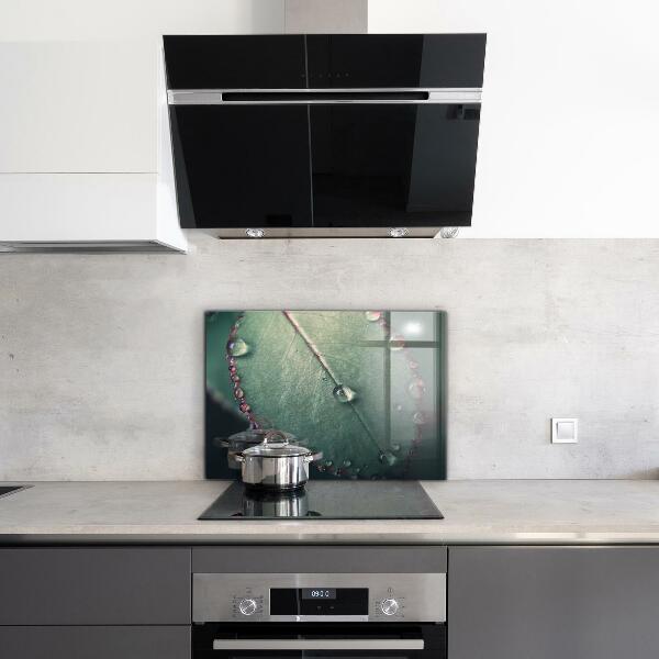 Küchenrückwand Spritzschutz Blatt mit einem Tautropfen