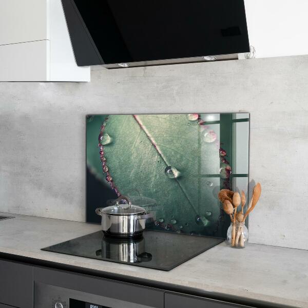 Küchenrückwand Spritzschutz Blatt mit einem Tautropfen