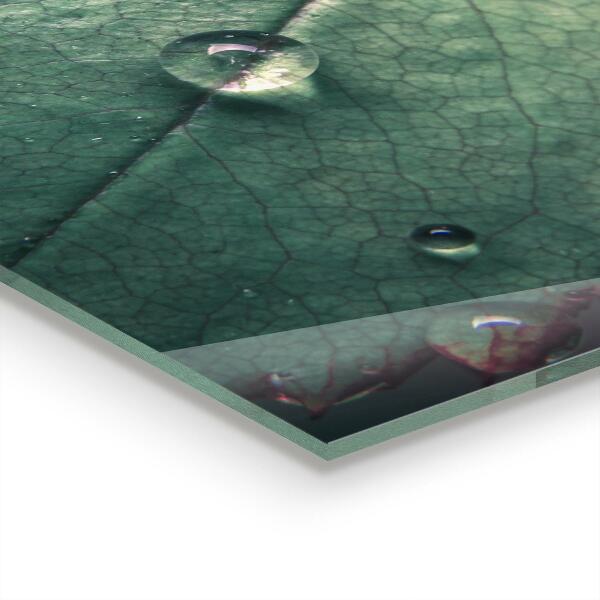 Küchenrückwand Spritzschutz Blatt mit einem Tautropfen