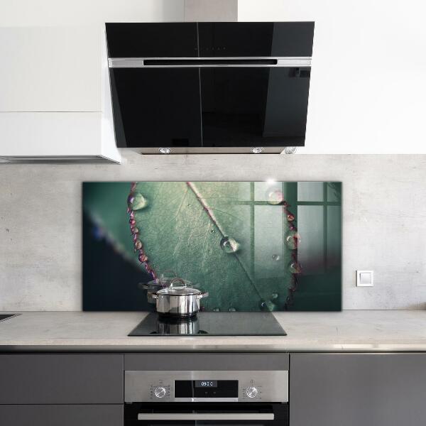 Küchenrückwand Spritzschutz Blatt mit einem Tautropfen