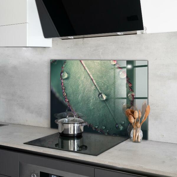 Küchenrückwand Spritzschutz Blatt mit einem Tautropfen