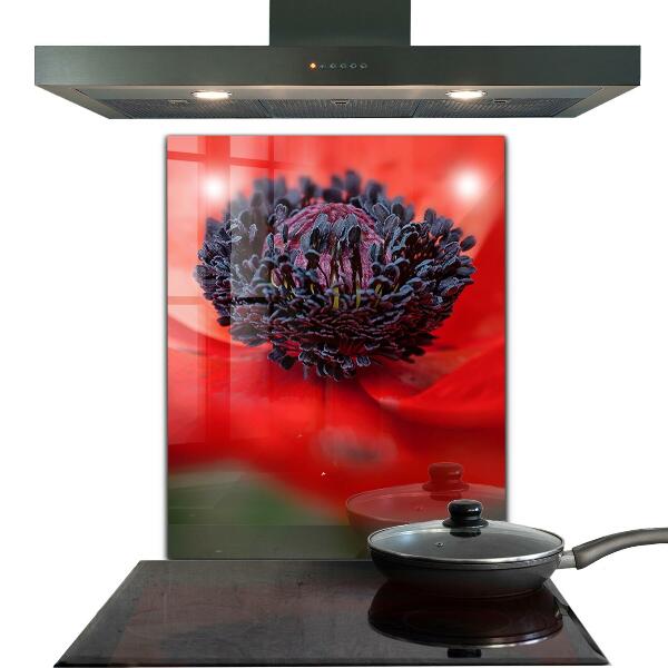 Küchenrückwand Spritzschutz Details zur roten Mohnblume