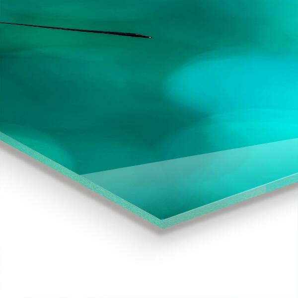 Küchenrückwand Spritzschutz Schöner Schmetterling in der Natur