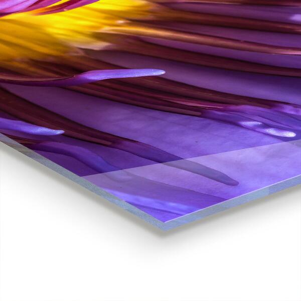 Küchenrückwand Spritzschutz Lila Blumendetails