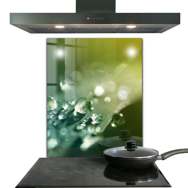 Küchenrückwand Spritzschutz Tau auf grünen Blättern