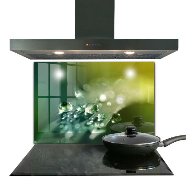 Küchenrückwand Spritzschutz Tau auf grünen Blättern