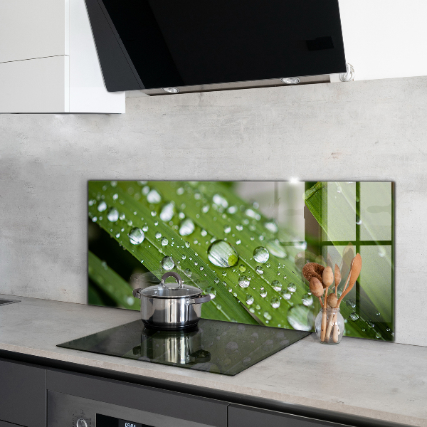 Küchenrückwand Spritzschutz Tautropfen auf dem Gras